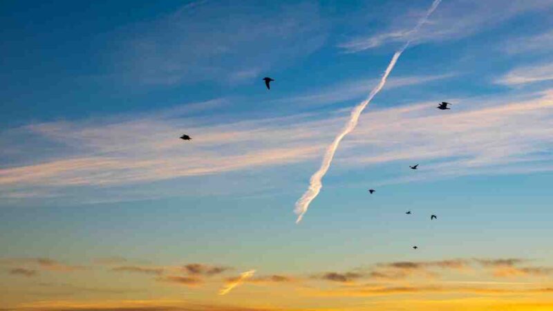 Quel est le meilleur VPN gratuit sur PC ?