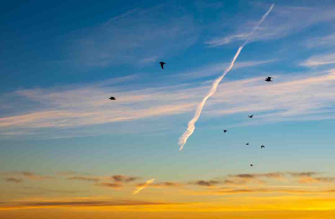 Quel est le meilleur VPN gratuit sur PC ?