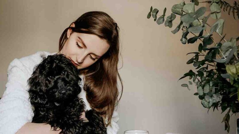 Quel est le meilleur navigateur 2021 ?