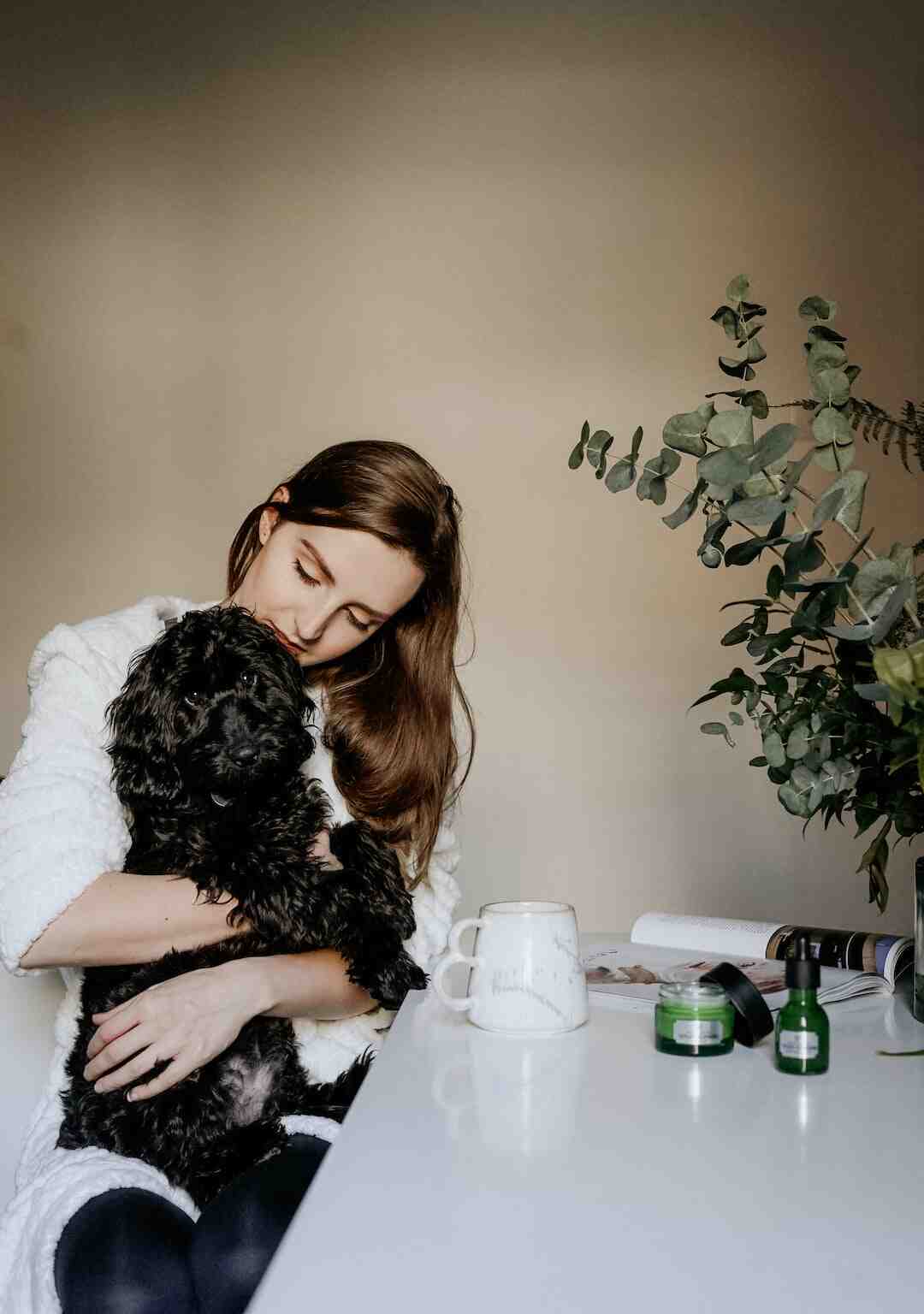 Quel est le meilleur navigateur 2021 ?