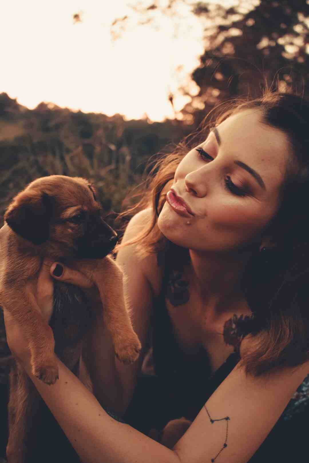 Pourquoi utiliser Firefox plutôt que Chrome ?