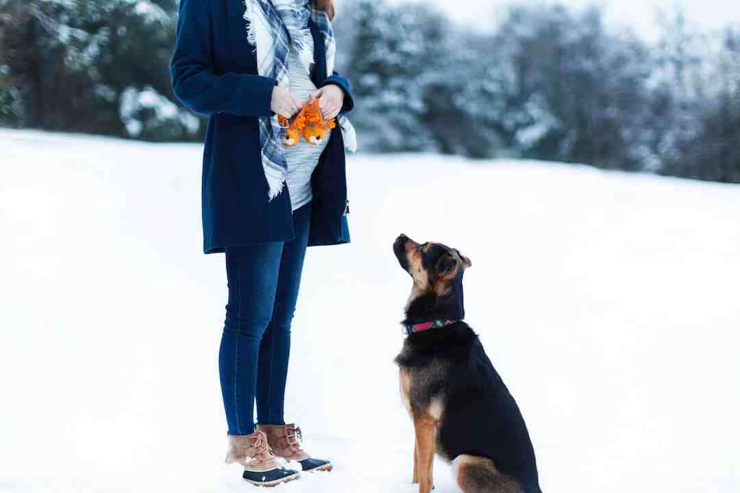 Quel est le meilleur navigateur 2022 ?