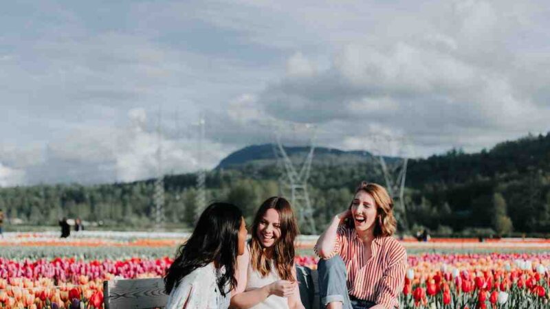 Quel est le meilleur navigateur par défaut ?