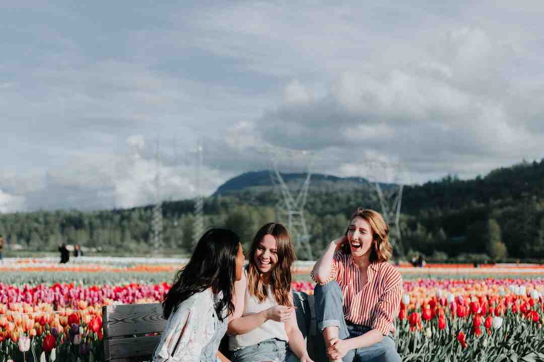 Quel est le meilleur navigateur par défaut ?