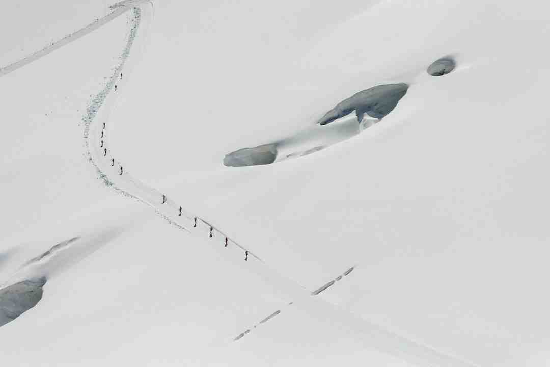 Quelle est la différence entre Chrome et Google ?