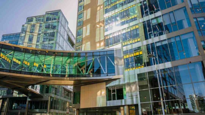 Quelle est la différence entre Google et Google Chrome ?